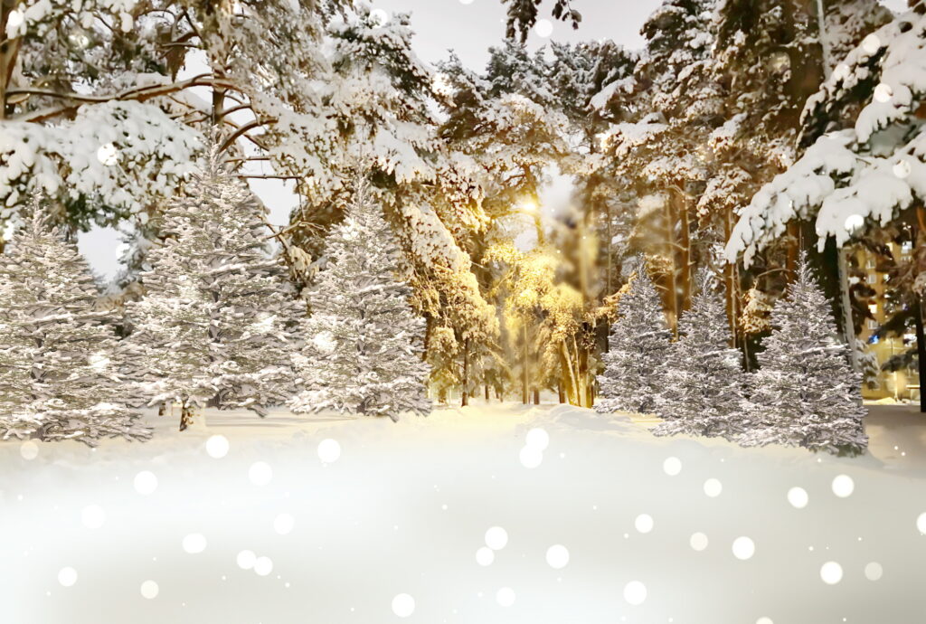 Plongez dans les coulisses de Winter Wonderland. Découvrez comment ce classique de Noël a été créé et pourquoi il continue de fasciner.