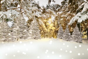 Plongez dans les coulisses de Winter Wonderland. Découvrez comment ce classique de Noël a été créé et pourquoi il continue de fasciner.