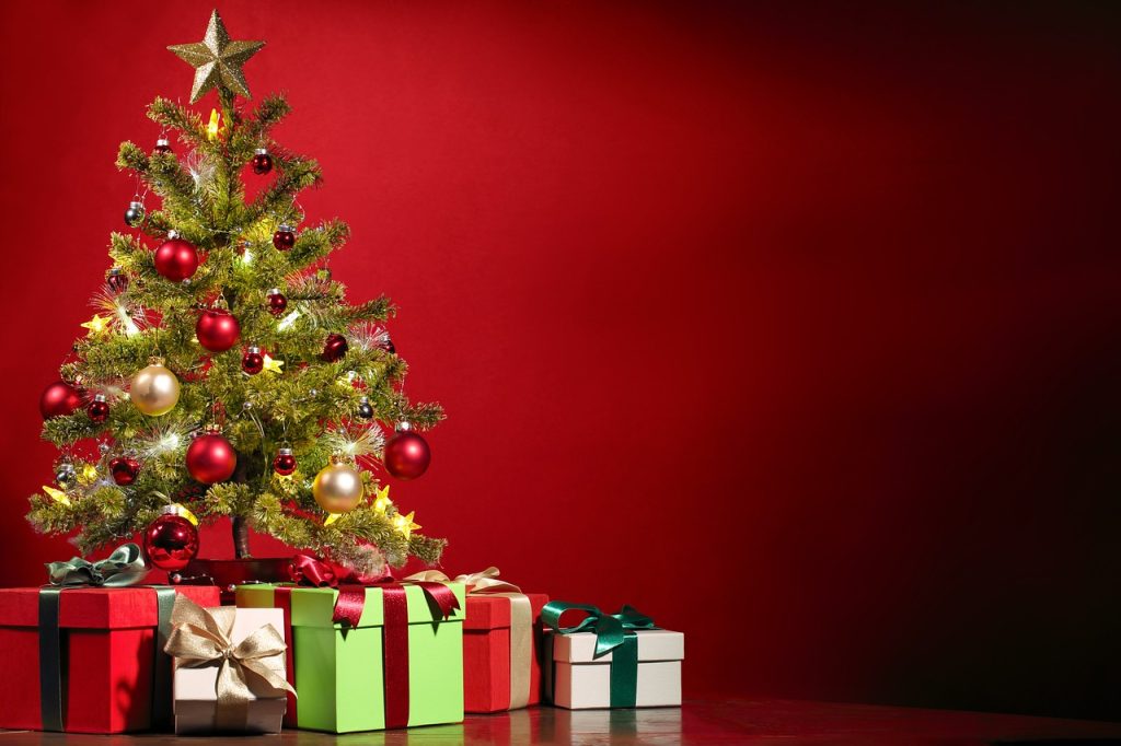 Le choix du bon sapin de Noël est un projet symbolique qui marque le début des festivités. Vous devez donc tout faire pour réussir votre pari.