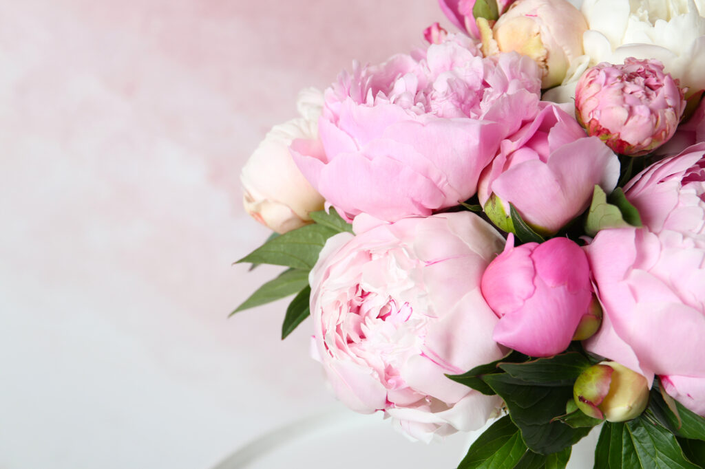 Découvrez pourquoi offrir un bouquet de pivoines à maman pour la fête des mères est une idée touchante et symbolique. Inspirez-vous pour un cadeau unique.
